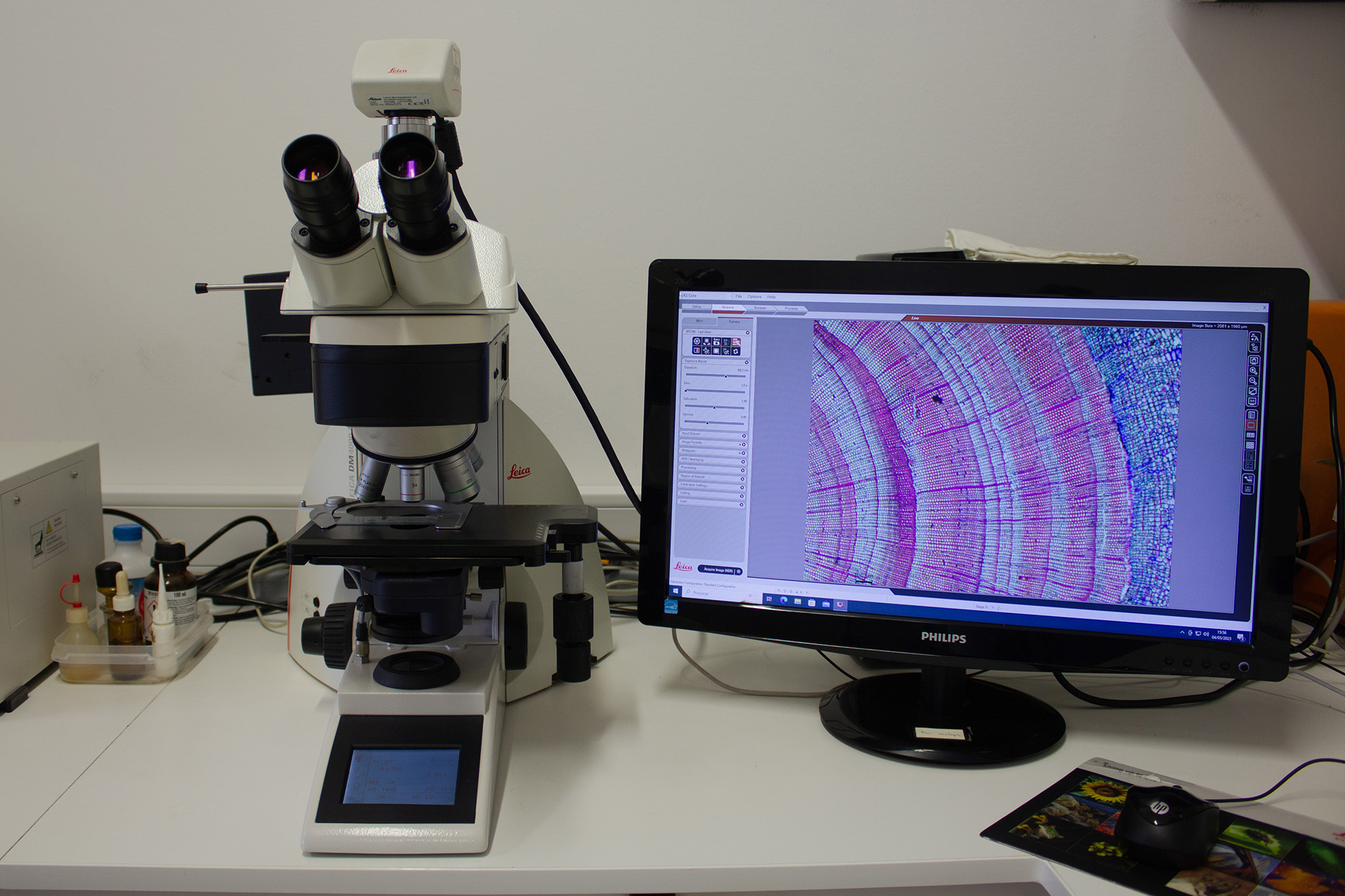 imagem de um laboratório de biologia. Do lado esquerdo um miscroscópio. Do lado direito um ecrã de computador com a imagem da anatomia de uma árvore que está a ser observada no miscroscópio