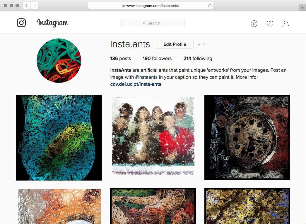 Screenshot of the Insta.ants profile
